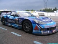 dijon 031